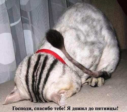 Виктор Сидоров