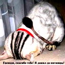 Виктор Сидоров