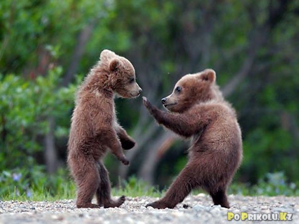 Жанболат Секербаев