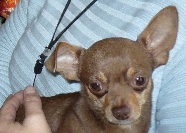 Ольга Витальевна