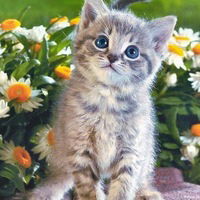 Танюшка Нефедкина