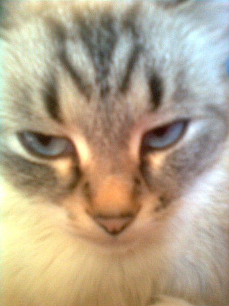 Ирина Зюзина