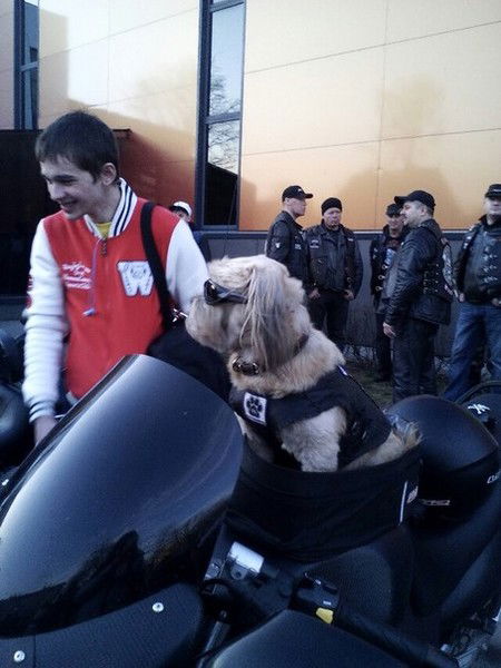 Илья Максимчук