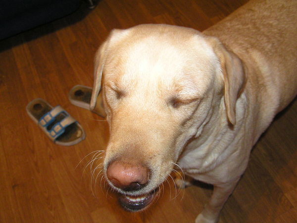 Настя Патрина