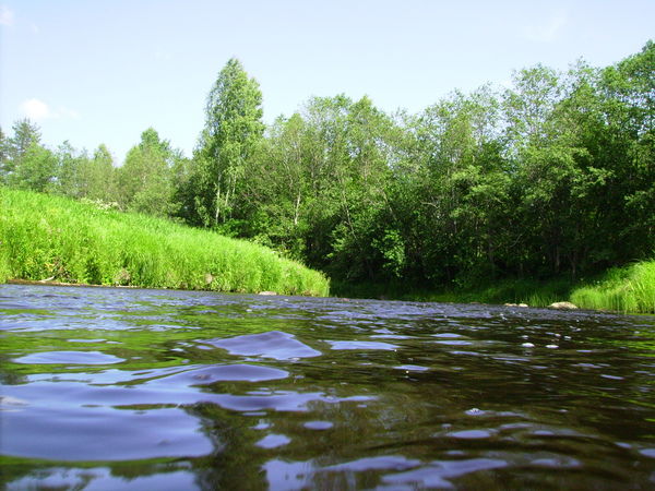 Ирина Винерова