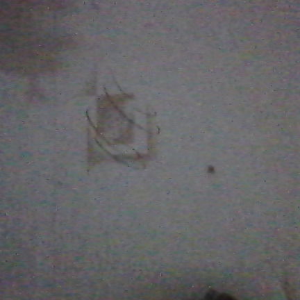 Светлана Карагичева