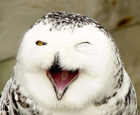 Ригатта Имангулова