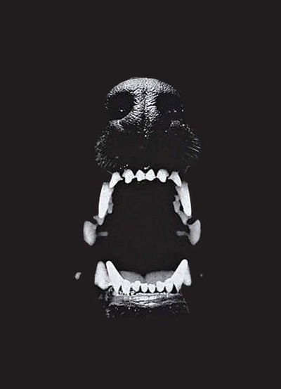 Роман Емельянов