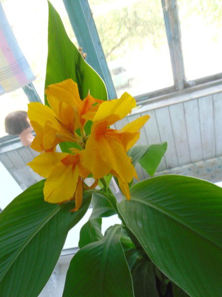 Наталья Александровна