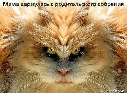 Дмитрий Медведев