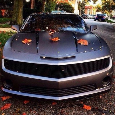 Дмитрий Черняев