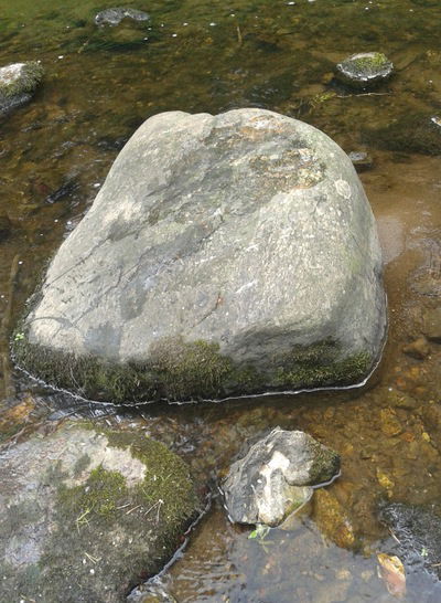 Фатина Розина