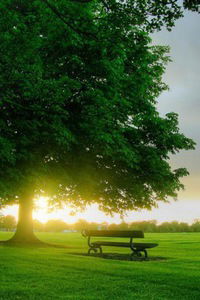 Елена Хайрутдинова