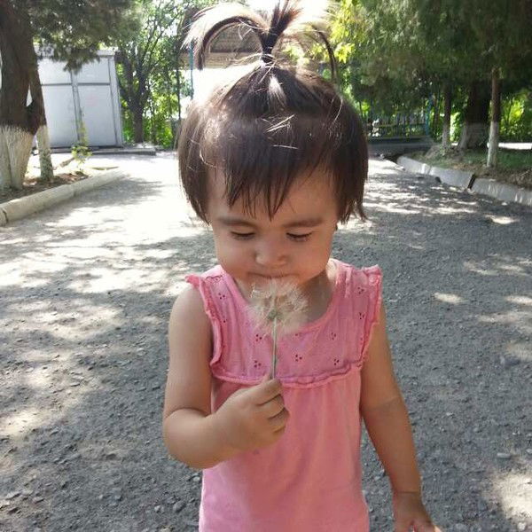 Сардор Хикматов