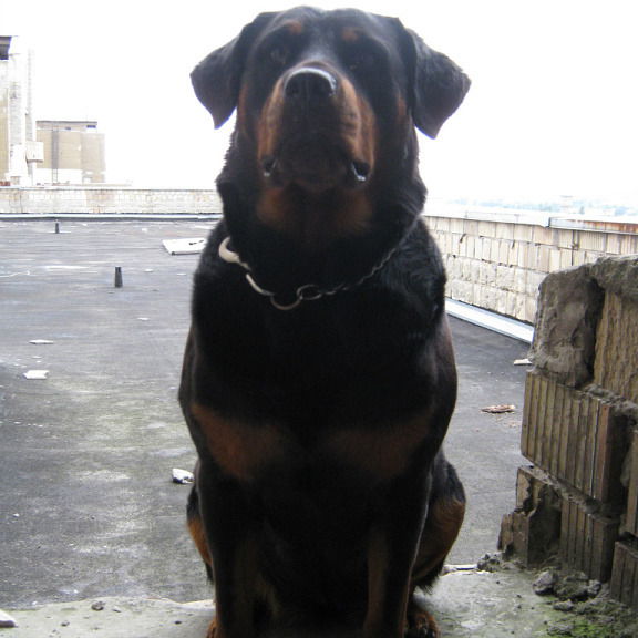 Людмила Жанжак