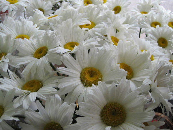 Индира Кульмагамбетова