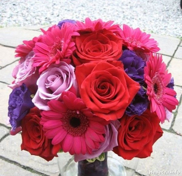 Анна Гавритенкова