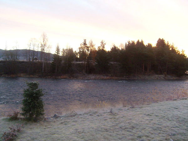 Иноббат Алиева