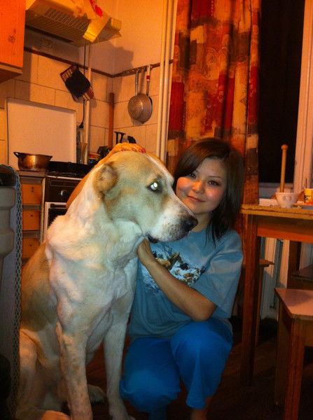 Шугыла Малаева