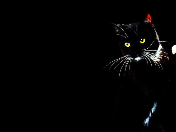 Инна Гапеева