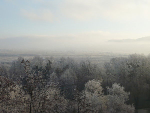 Надежда Серенко