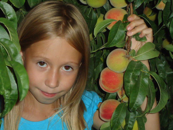 Лизонька Сечнева