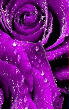 Анютка Дубина