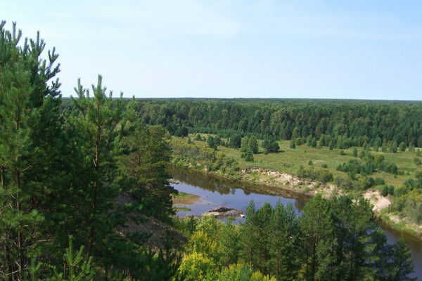 Сергей Жуков