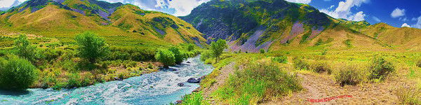 Дмитрий Мирошников