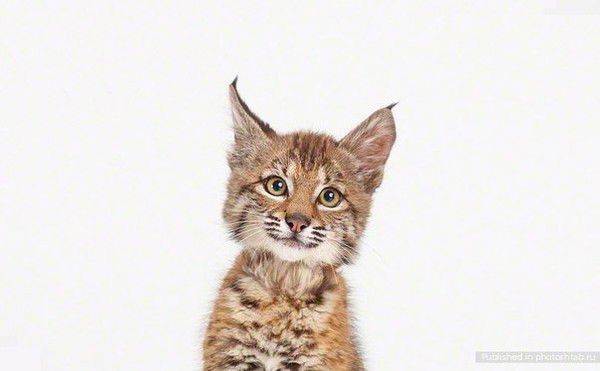 Александр Суслов