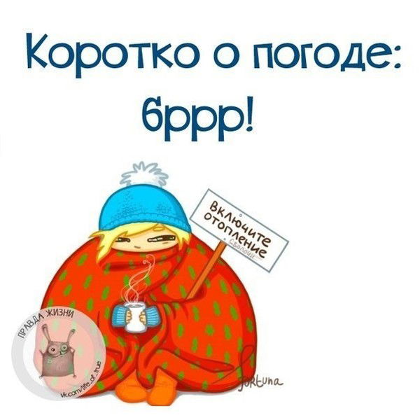 A L L O M A Muxamedova