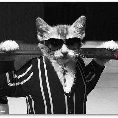 Влад Иванов