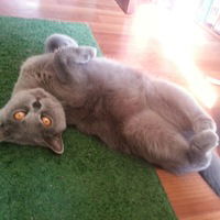 Даниил Черных