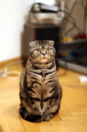 Юля Баранова