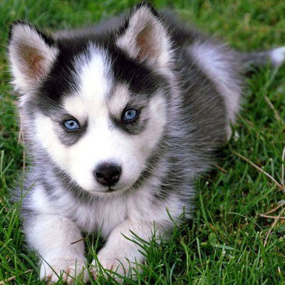 Серёга Иванов