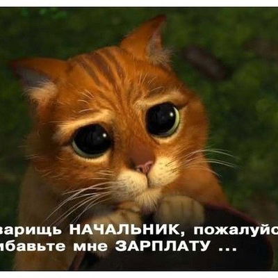 Наташа Лотыш