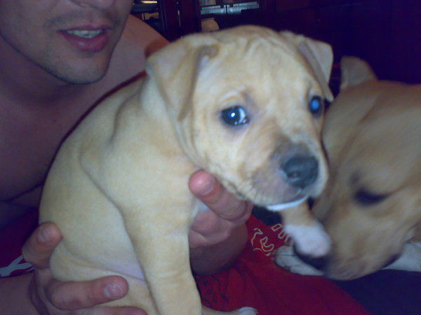 Евген Кирий