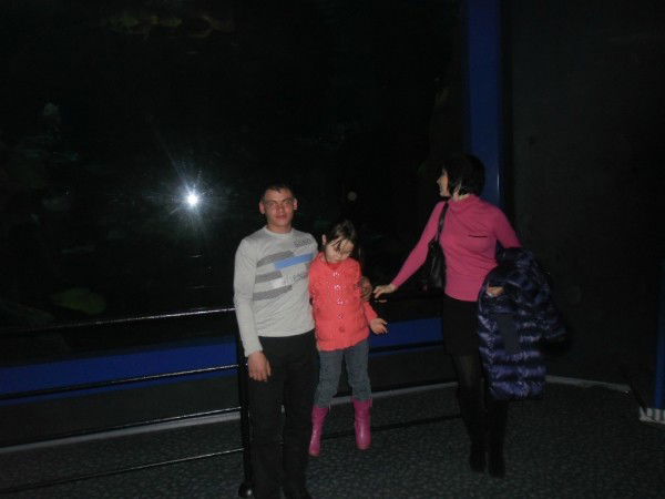 Александр Золотарёв