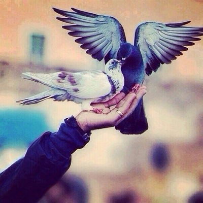 Арусик Согомонян