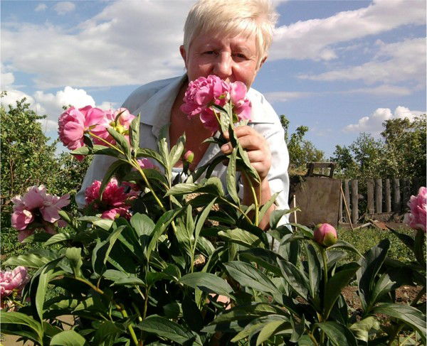 Елена Курдюкова
