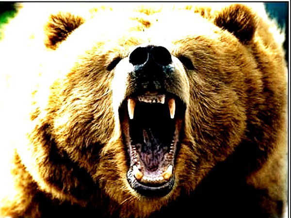 Андрей Папанов