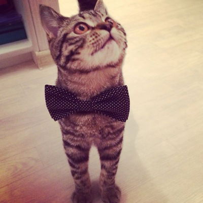 Сергей Белый