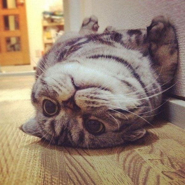 Наталья Тарасова