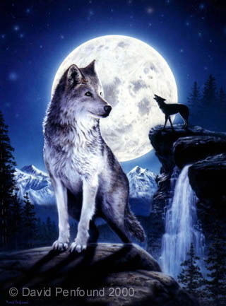 Сергей Башкардин