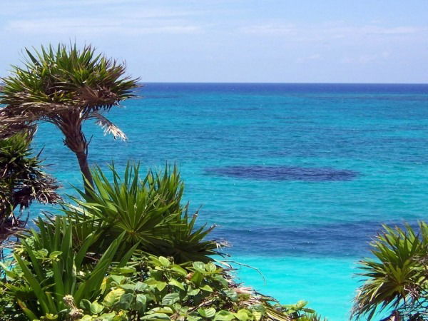 Анастасия Борисова