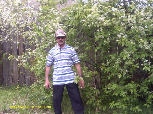 Александр Никитенко