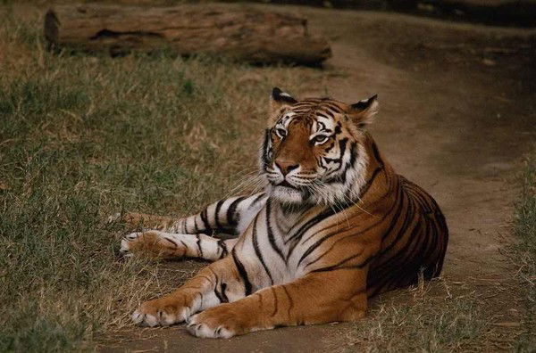 Семён Пономарёв