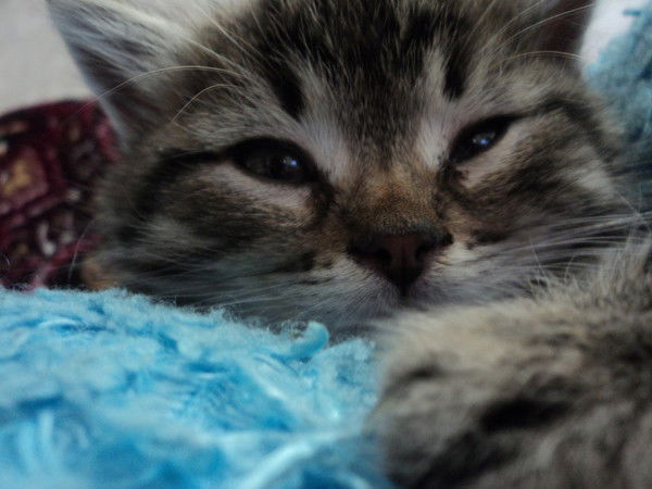 Ильдар Хабибуллин