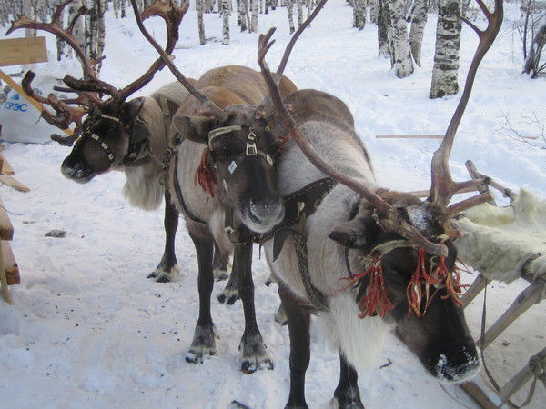 Лидия Власова