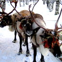 Лидия Власова